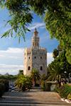 Torre del Oro