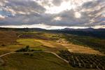 Landschaft um Ronda. Sehr hoher Kontrast, das dort!