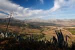 Blick über die Terrasse des "Reina Victoria" in Ronda