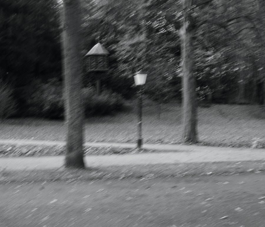 BadenBadenNov2009-02.jpg - Der Park in Baden-Baden. Elke und ich flanieren die Lichtentaler Allee hinab. Verwackelt, aber mir gefällt es trotzdem.