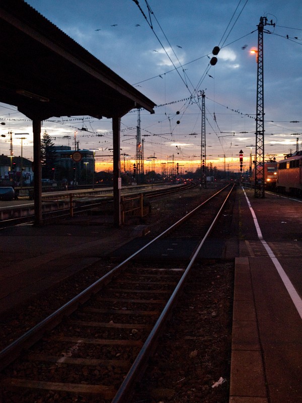 BadenBadenNov2009-14.jpg - Der Sonnenuntergang bringt auch wieder mehr Farbe in Bild.