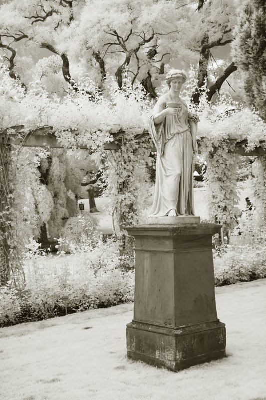 Bondensee-020.JPG - Insel Mainau (IR)