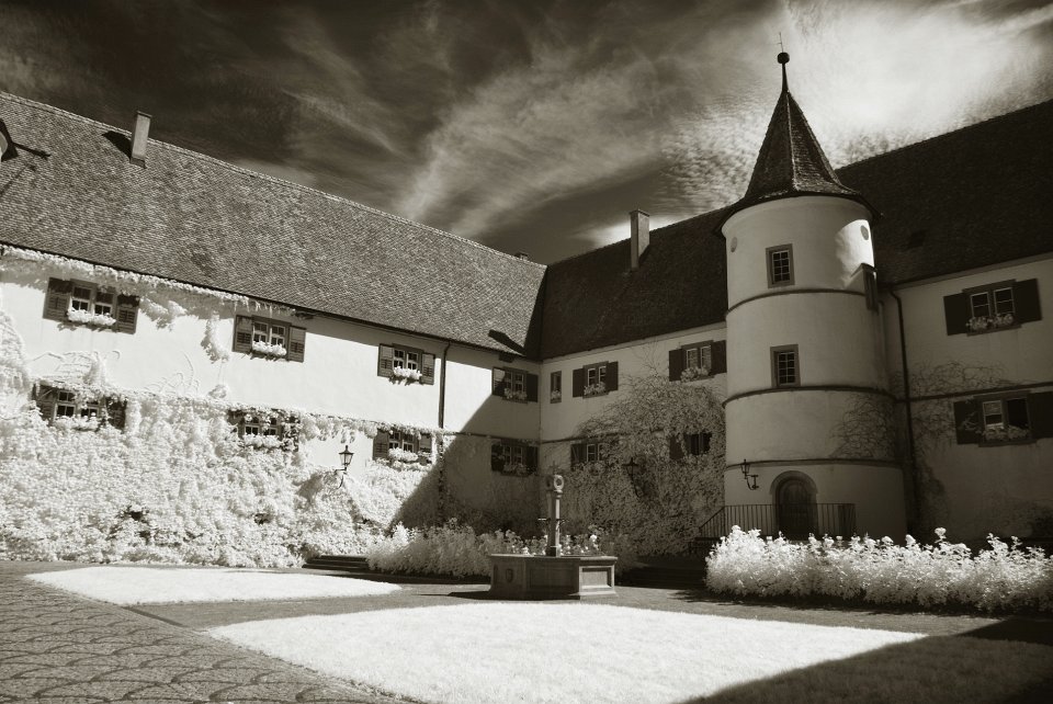 Bondensee-039.JPG - Insel Reichenau (IR)