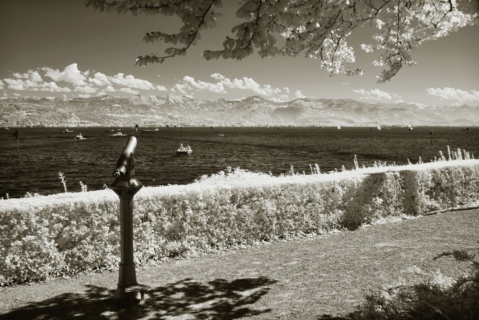 Bondensee-065.JPG - Lindau (IR)