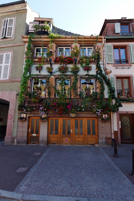 Colmar-082009-020.jpg