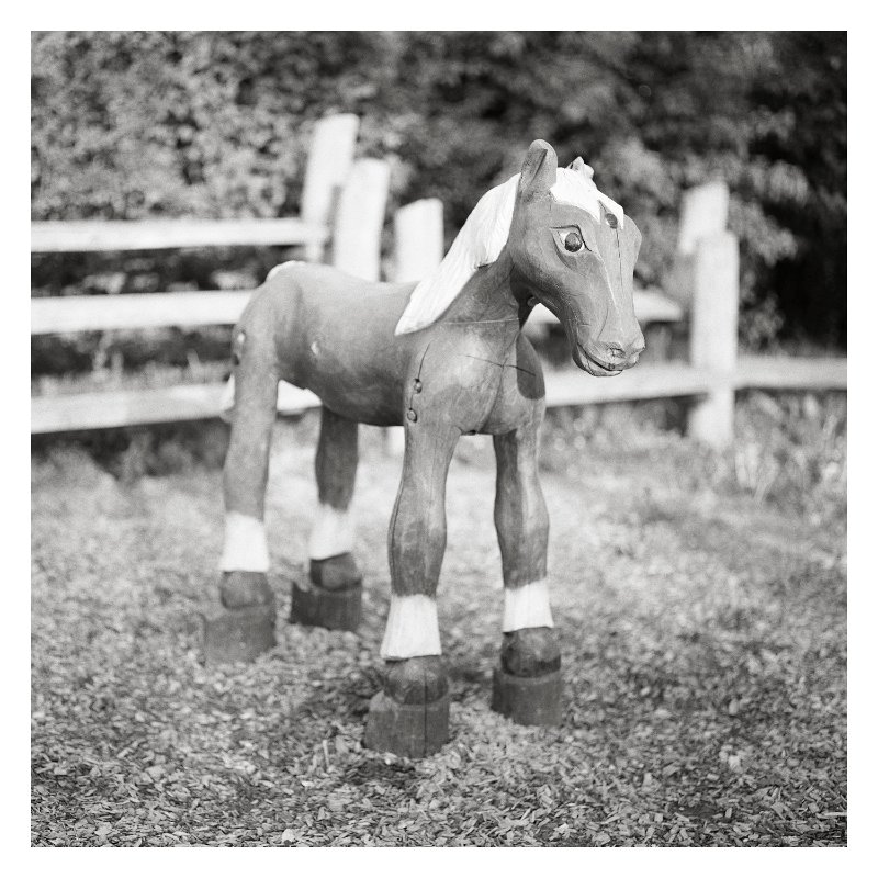 Fruehling2014-Nr2-09.jpg - Huch! Jetzt ist die Farbe weg. Das liegt daran, dass dieses Biild mit der Hasselblad auf Ilford HP5 Plus aufgenommen wurde. Dank des Zeiss 110mm f2,0 Objektivs und des größeren Bildformats kann man den Hintergrund schön unscharf werden lassen. Hm!? Kann man das nicht digital simulieren?
