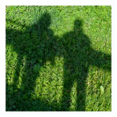 FruehlingInBunt17