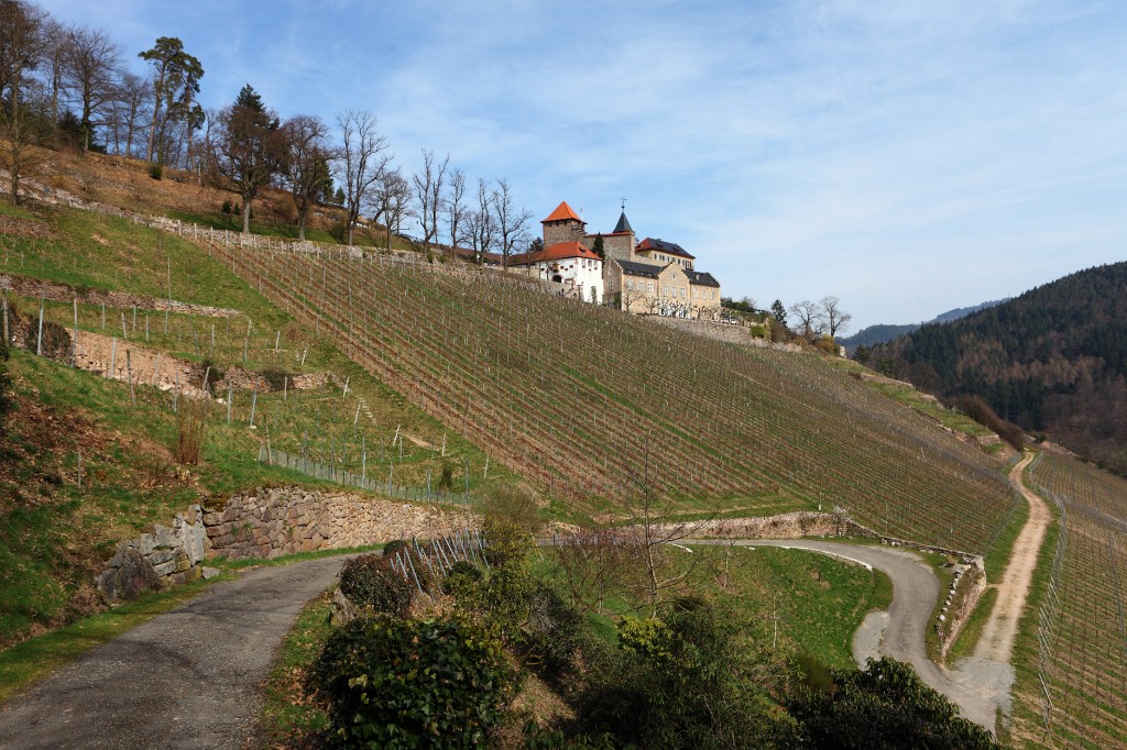 Gernsbach29.JPG - Der Aufstieg ist durchaus sportlich, wenn man bedenkt, dass ich in ungläubiger Unkenntnis der Temperaturen zu warm angezogen bin und auf dem Rücken eine Großformatkamera trage (ächz!).