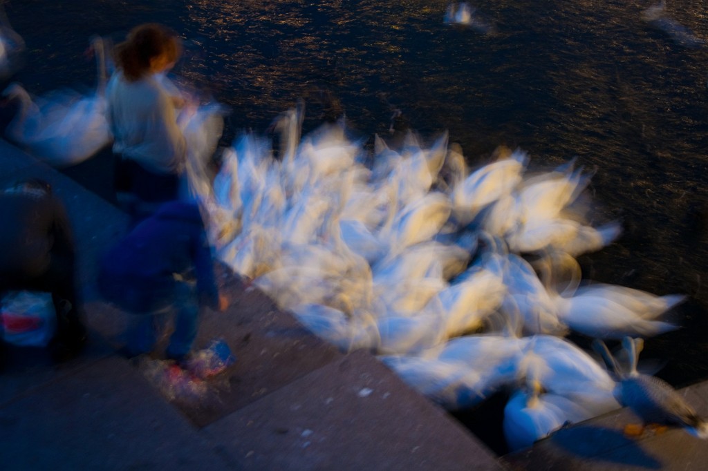 Hamburg-102009-41.jpg - Was ist das denn für ein Gewirr?