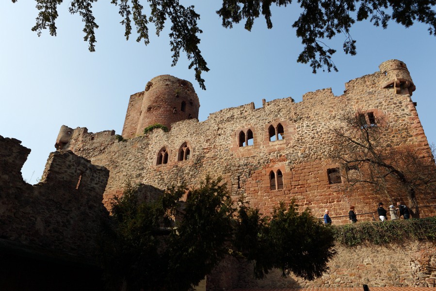 Kintzheim-05.JPG - Sie befindet sich auf einer mittelalterlichen Burg, so wie es sich geziemt.