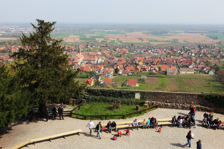 Kintzheim-07.JPG - Der Blick über den "Flugplatz" der Greifenwarte.