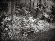 Monochrom0511-07