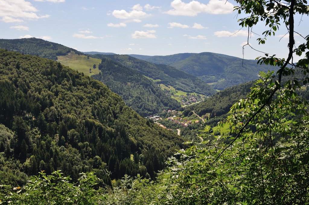 Schwarzwald-072009-02.jpg - Stefan Becker, beckstef@freenet.de