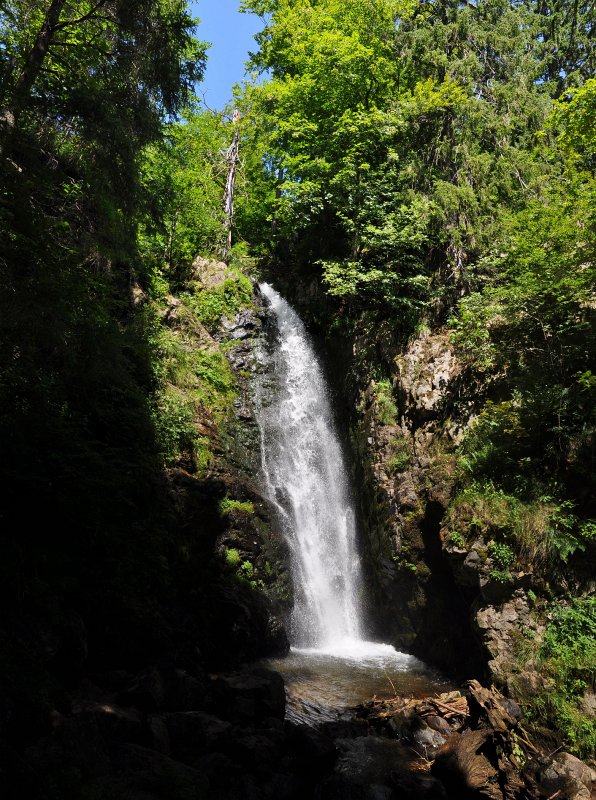 Schwarzwald-072009-04.jpg