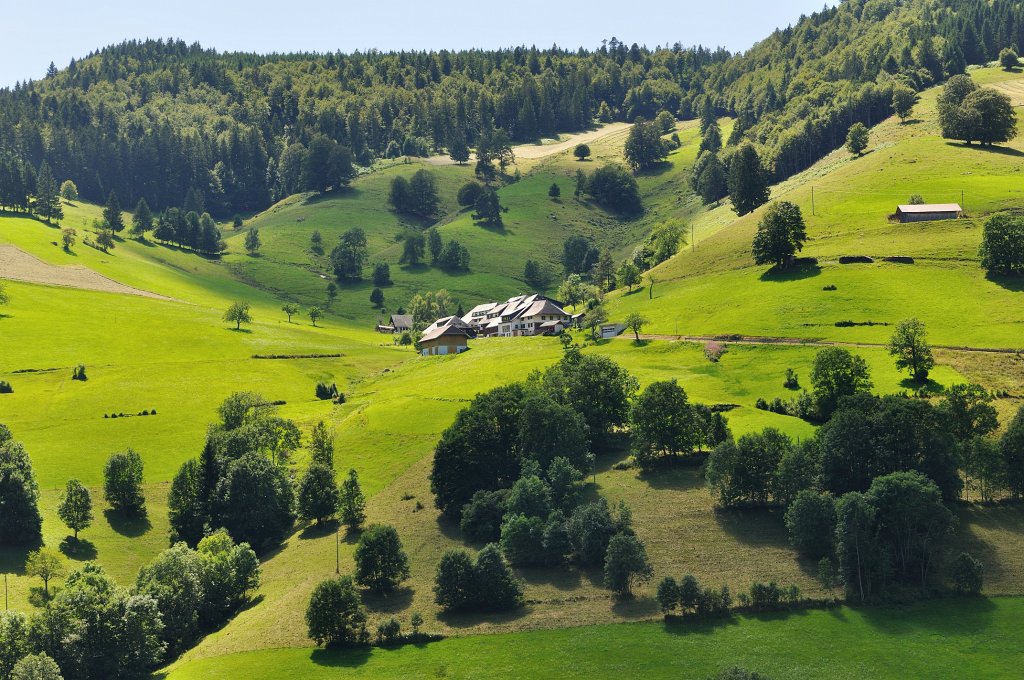 Schwarzwald-072009-08.jpg - Stefan Becker, beckstef@freenet.de