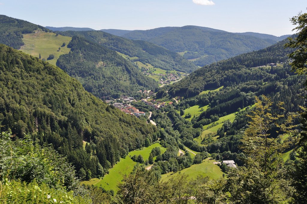 Schwarzwald-072009-09.jpg - Stefan Becker, beckstef@freenet.de