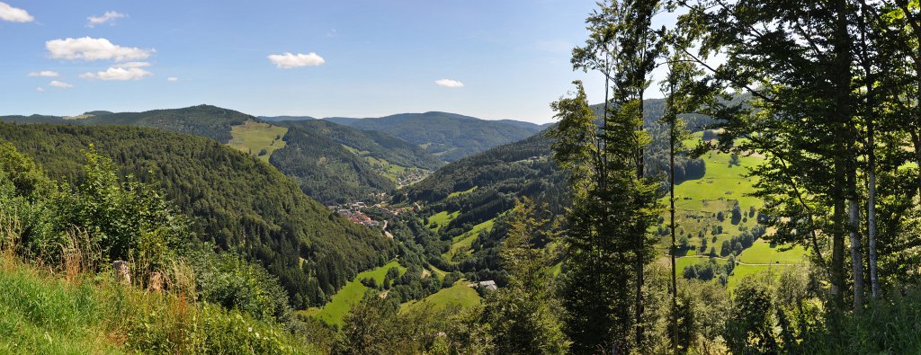 Schwarzwald-072009-10.jpg