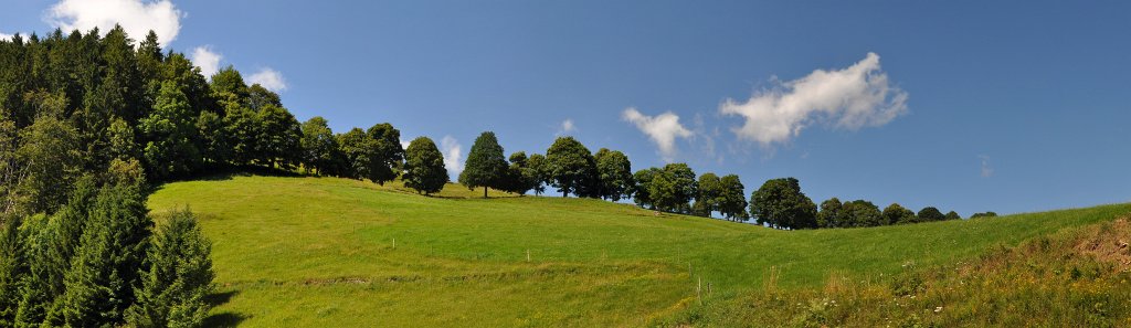 Schwarzwald-072009-11.jpg