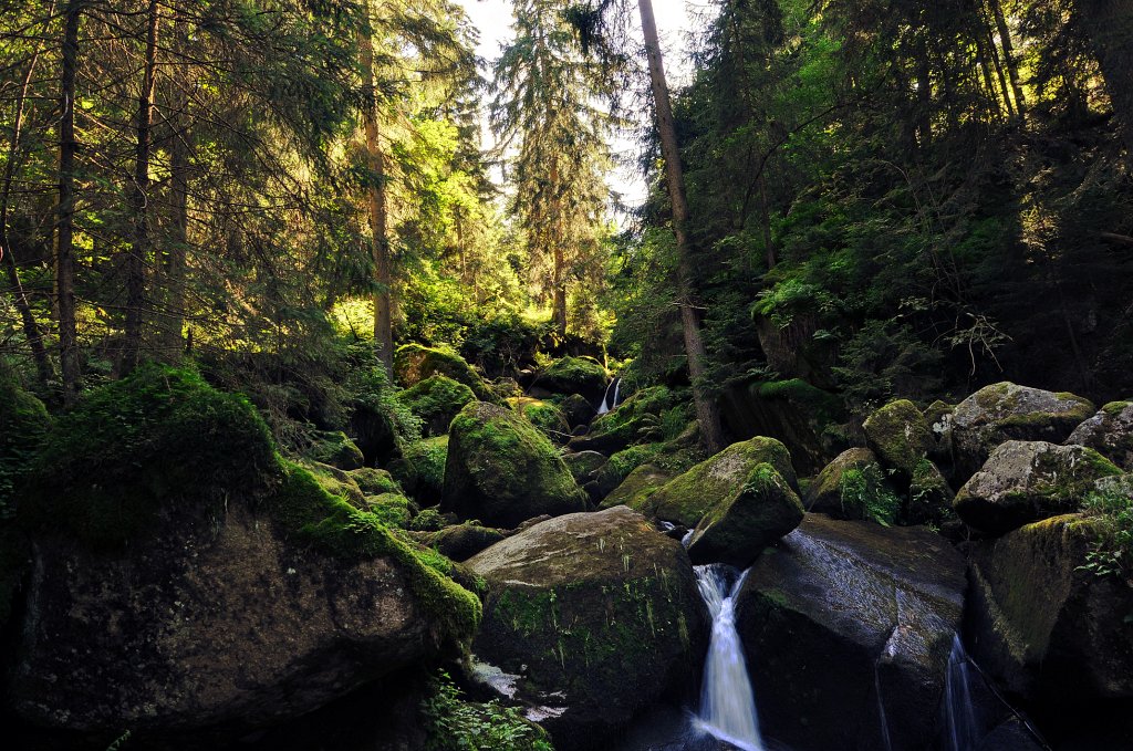 Schwarzwald-072009-19.jpg