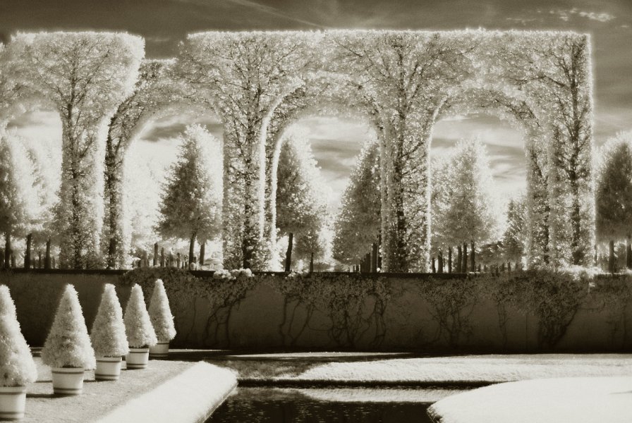 Schwetzingen-33.JPG