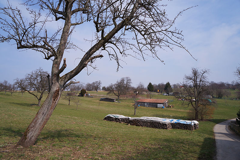 Bild im sichtbaren Bereich