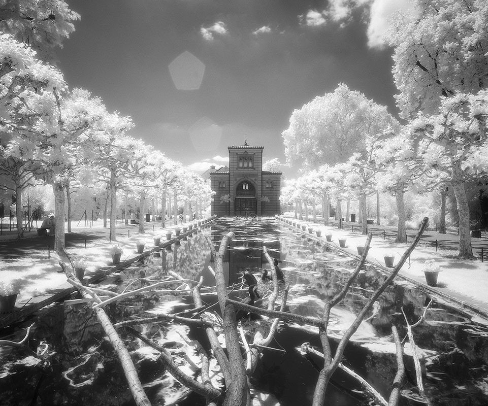 IR1.jpg - Nein, ganz so finster sind die Aussichten hier nicht. Wir sind in der Wilhelma, die Sonne scheint und die kleinen Kormorane betteln um eine Portion Fisch. Es herrscht Gegenlicht, weswegen das Gebäude in der Bildmitte sehr dunkel abgebildet wird. Auch die beiden Blendenreflexe haben wir dem Gegenlicht zu verdanken. Der Wood-Effekt ist für die helle Abbildung der Pflanzen im Infrarotlicht verantwortlich und die Kälte des Weltraums für den schwarzen Himmel und die sehr dunklen Schatten. Aber es gibt keinen Grund, die Hoffnung angesichts des finsteren Pavillons gleich fahren zu lassen, denn...