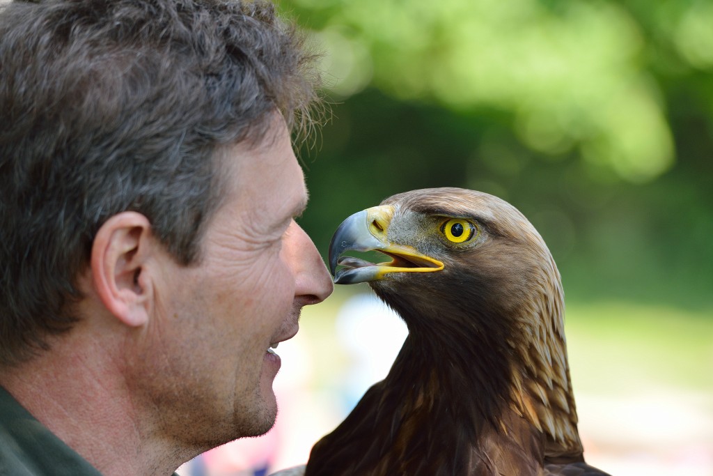 Heglachaue23.JPG - Stefan Becker,beckstef@freenet.de