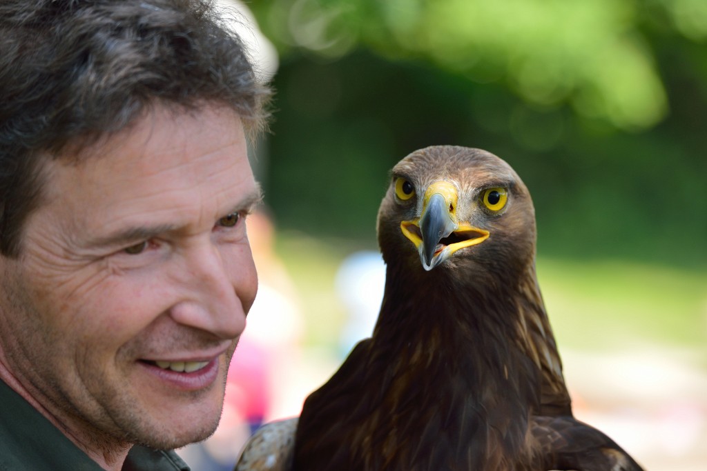 Heglachaue24.JPG - Stefan Becker,beckstef@freenet.de