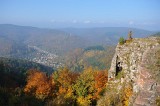 WaldImNebel16