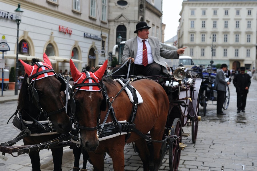 Wien-001.JPG - Wir sind hier vorm Stephansdom: Der Treffpunkt von vierrädrigen Gefährten und jeweils zwei bis vier PS.