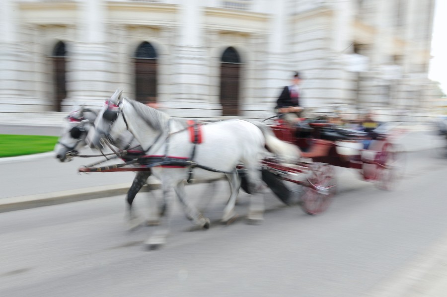 Wien-043.JPG - Dieser hier hat es besonders eilig!