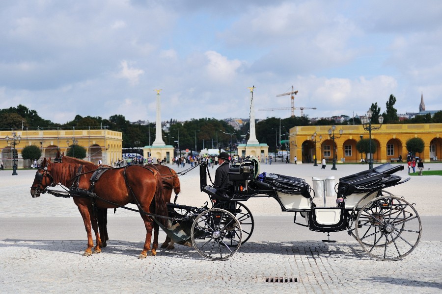 Wien-077.JPG - Ach nee? War ja klar, oder?
