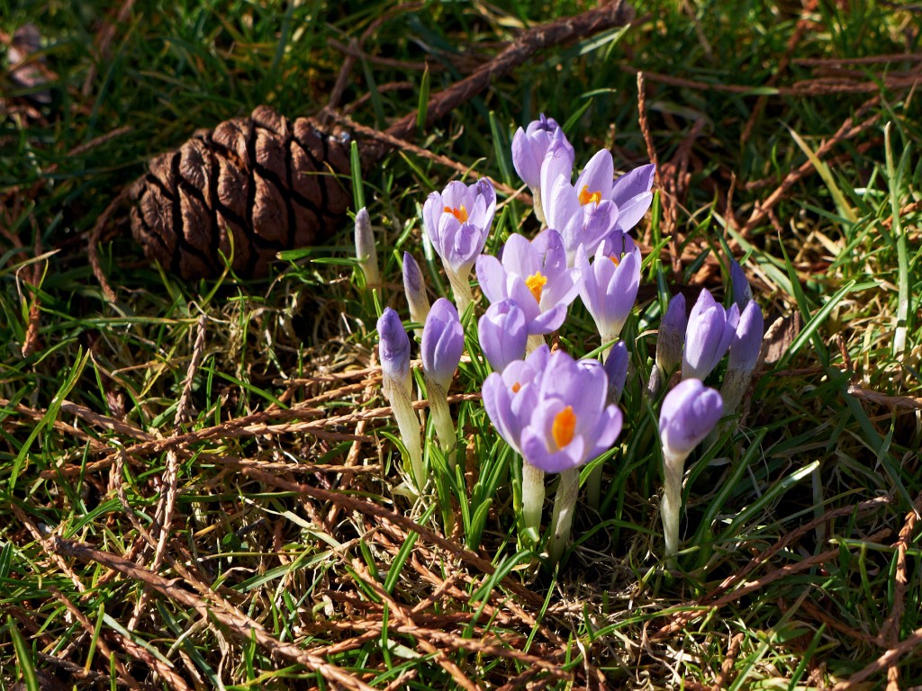 Winter-2009-10-27.jpg - Ebenda wird es auch auf diesem Bild wieder bunt.