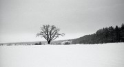 Winter-2009-10-07