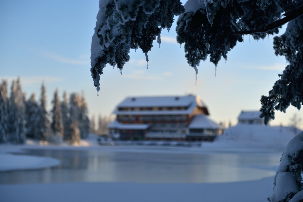 MummelSeeWinter-14.jpg - Das Hotel am Mummelsee liegt wirklich idyllisch. Die Aussicht ist toll und das Essen auch nicht schlecht.