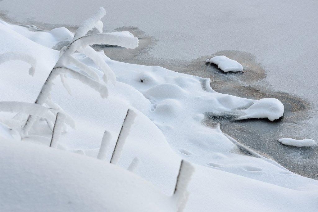 MummelSeeWinter-16.jpg - Das Eis ist vermutlich noch zu dünn, um so über den Weg zu laufen.