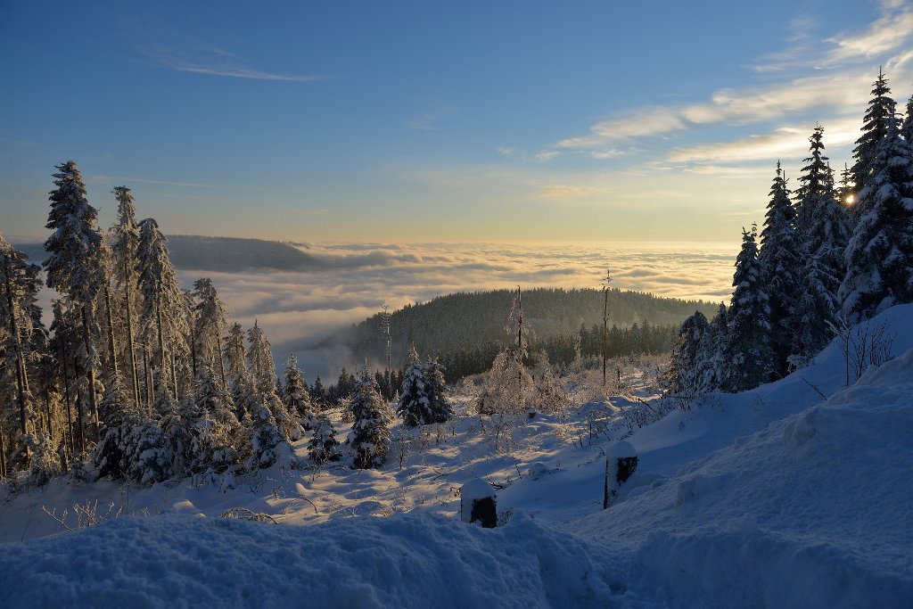 MummelSeeWinter-19.jpg - Der letzte Sonnenstrahl leuchtet durch den Schwarzwald.