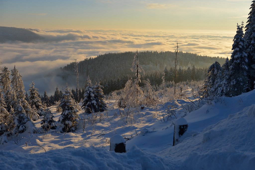 MummelSeeWinter-20.jpg - Wenn es nicht so kalt gewesen wäre, hätte ich hier ewig stehen können.