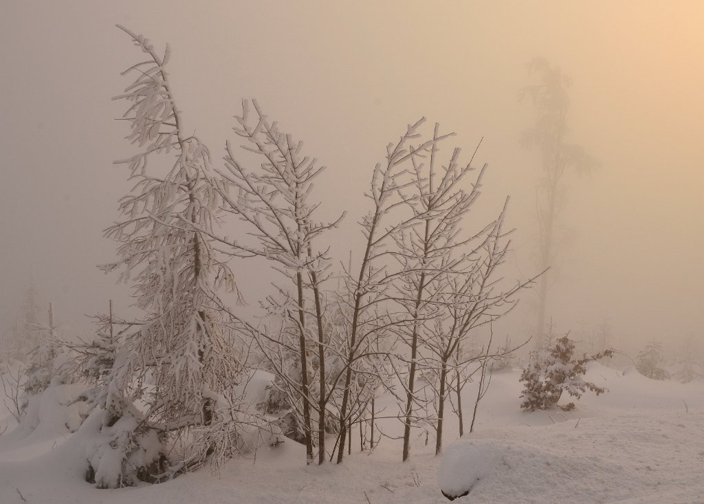 MummelSeeWinter-25.jpg - ...erhellte den Nebel. Kurz danach wurde der Nebel so dicht, dass wir nur noch 10m weit sehen konnten. Zeit nach Hause zu fahren. Ich hoffe, es hat ein wenig gefallen.