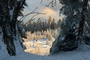 MummelSeeWinter-22