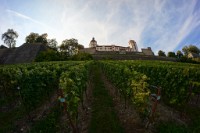 Wuerzburg280913-10