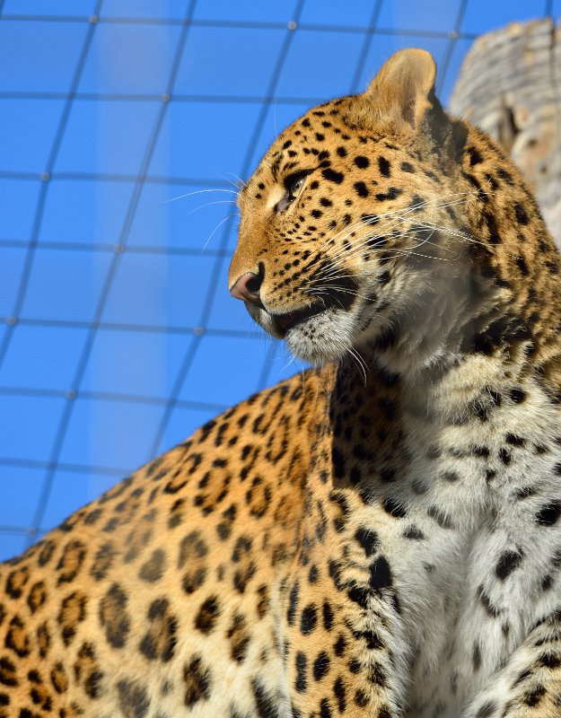 ZooKarlsruhe301213-02.jpg