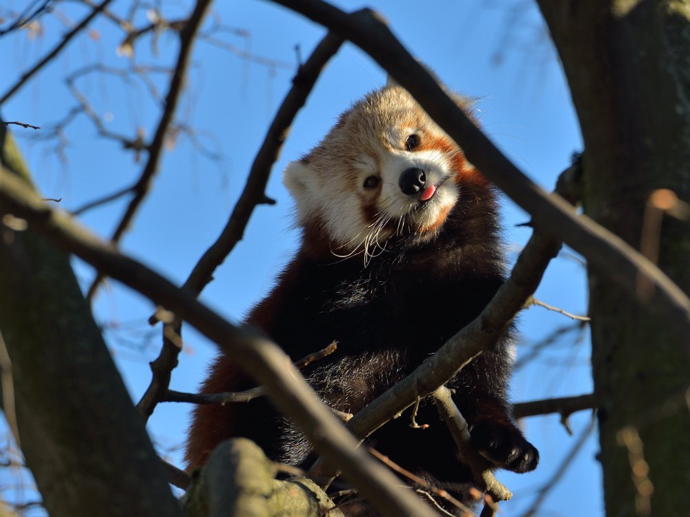 ZooKarlsruhe301213-03.jpg