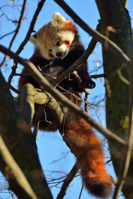 ZooKarlsruhe301213-04.jpg