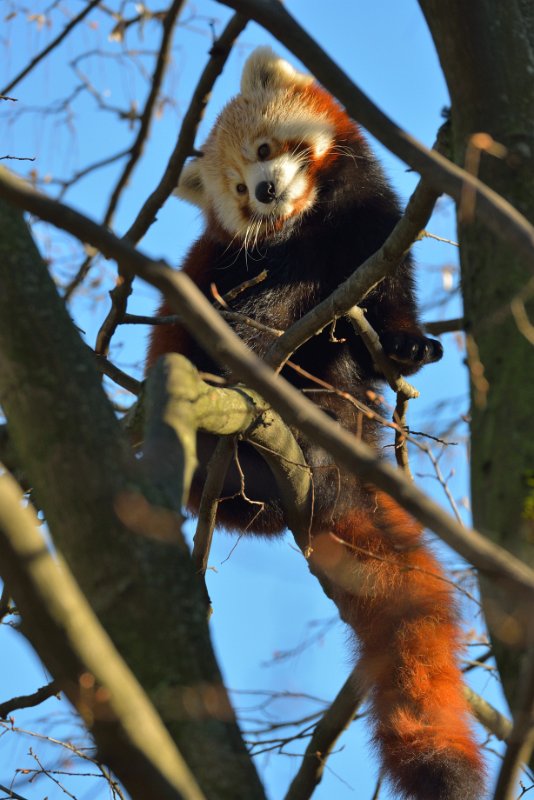 ZooKarlsruhe301213-05.jpg