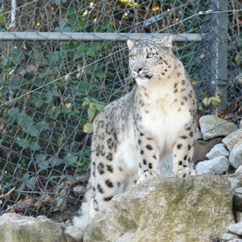 ZooKarlsruhe301213-08.jpg