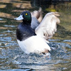 ZooKarlsruhe301213-18