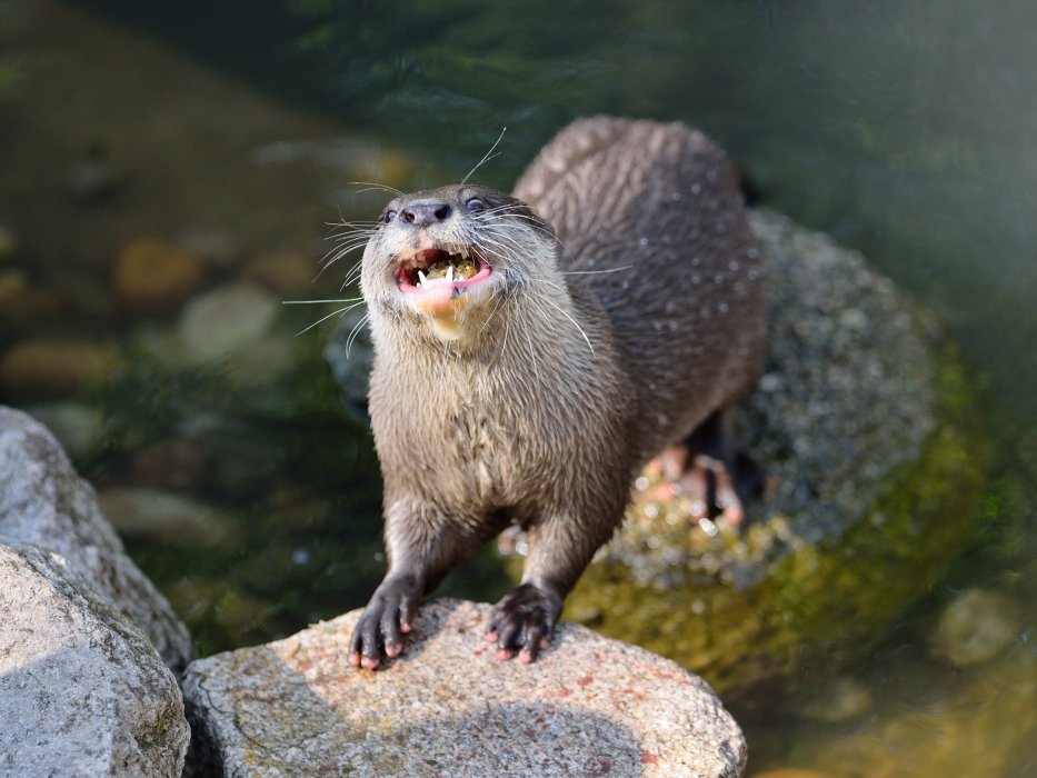ZooKarlsruhe0413-07.jpg - Lecker!