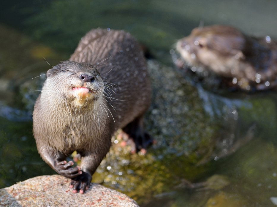 ZooKarlsruhe0413-08.jpg - Um nicht zu sagen köstlich!