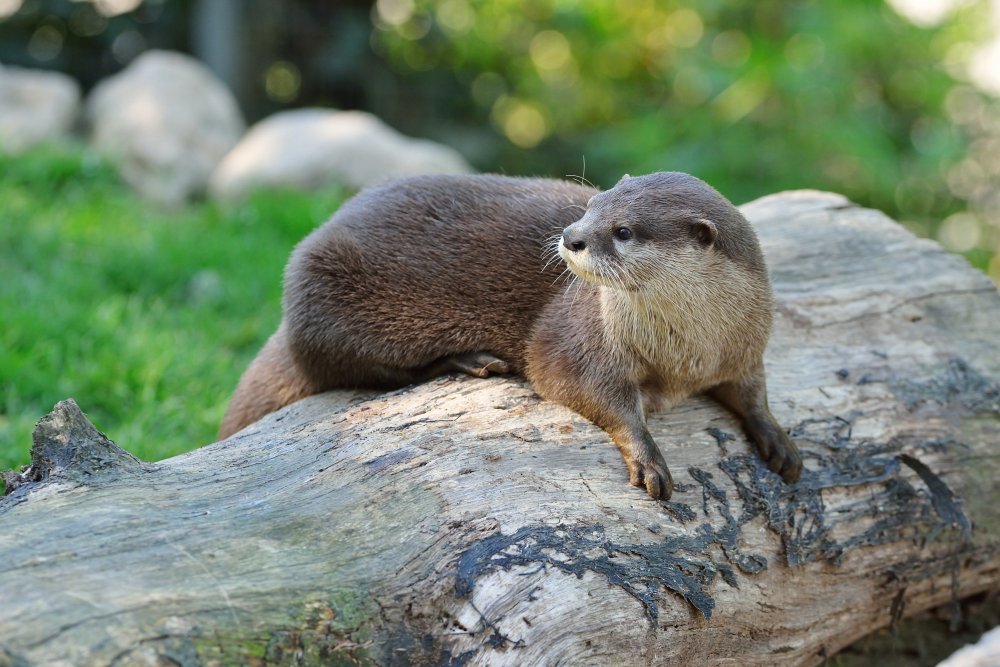 ZooKarlsruhe0413-16.jpg - Vielen Dank fürs Posieren!
